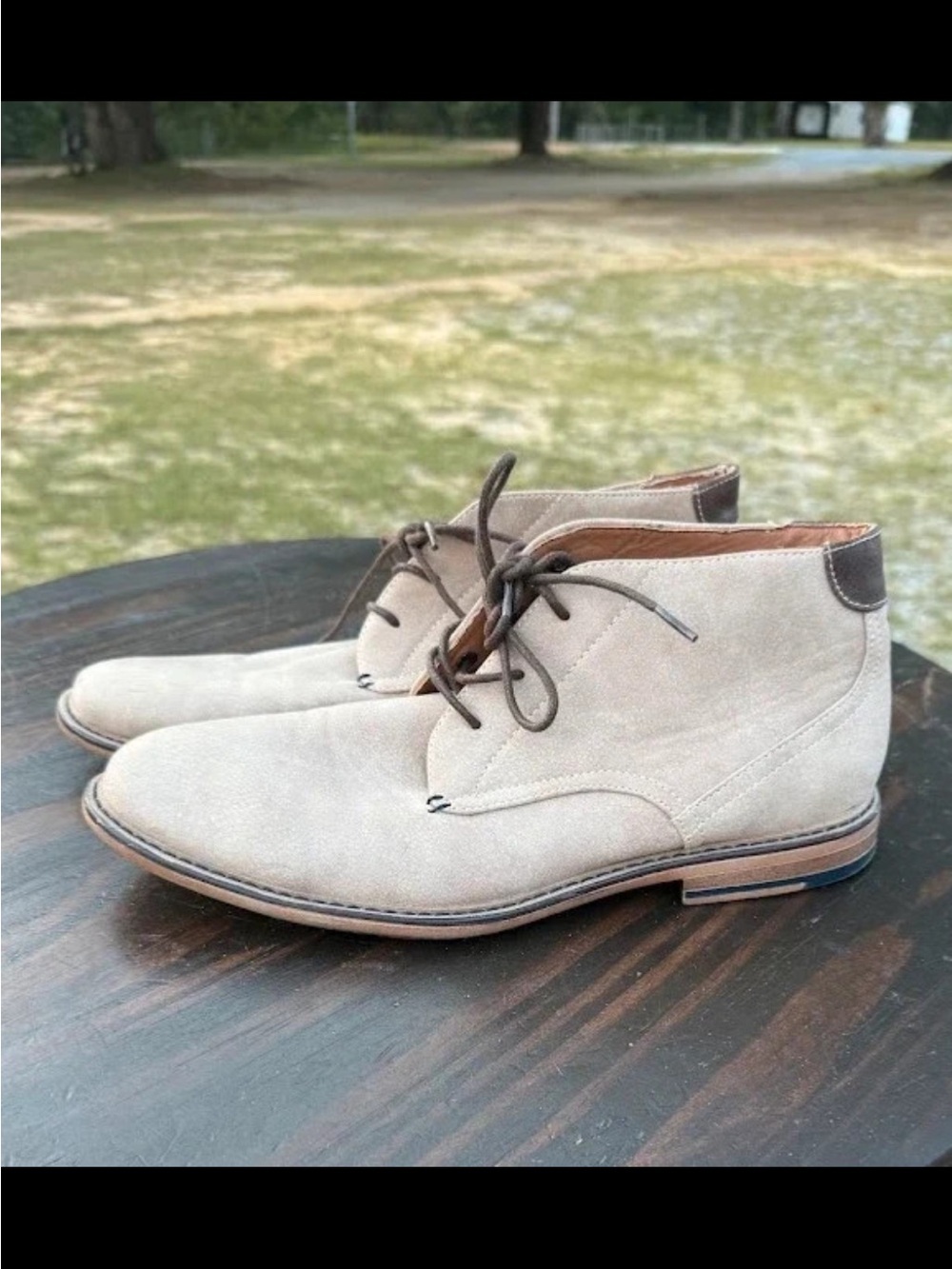 Steve Madden Taupe Suede Chukka Boots with Dark Brown Trim